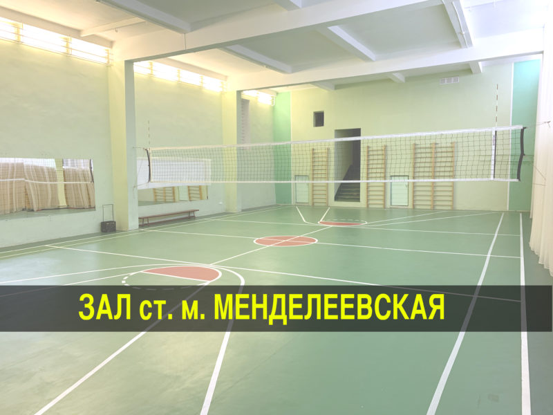 Волейбол менделеевская